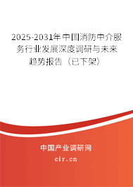 2025-2031年中國消防中介服務(wù)行業(yè)發(fā)展深度調(diào)研與未來趨勢報告（已下架）