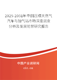 2025-2031年中國壓縮天然氣汽車與加氣站市場深度調(diào)查分析及發(fā)展前景研究報告