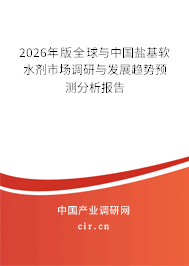 2024年版全球與中國鹽基軟水劑市場(chǎng)調(diào)研與發(fā)展趨勢(shì)預(yù)測(cè)分析報(bào)告