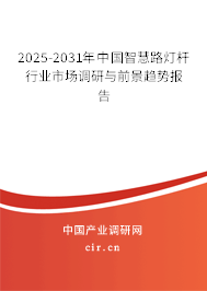 2025-2031年中國智慧路燈桿行業(yè)市場調(diào)研與前景趨勢報(bào)告 2025-2031年中國智慧路燈桿行業(yè)市場調(diào)研與前景趨勢報(bào)告