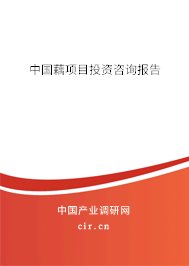 中國藕項目投資咨詢報告