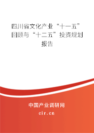 四川省文化產業(yè)“十一五”回顧與“十二五”投資規(guī)劃報告