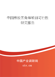 中國橡膠三角帶項目可行性研究報告