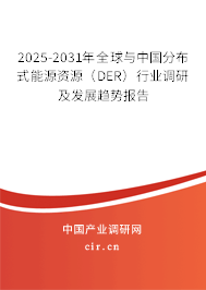 2025-2031年全球與中國分布式能源資源（DER）行業(yè)調(diào)研及發(fā)展趨勢報(bào)告