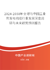 2024-2030年全球與中國工業(yè)用發(fā)電機組行業(yè)發(fā)展深度調(diào)研與未來趨勢預(yù)測報告 2024-2030年全球與中國工業(yè)用發(fā)電機組行業(yè)發(fā)展深度調(diào)研與未來趨勢預(yù)測報告