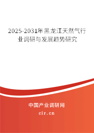 2025-2031年黑龍江天然氣行業(yè)調(diào)研與發(fā)展趨勢研究