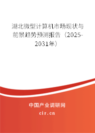 湖北微型計算機市場現(xiàn)狀與前景趨勢預(yù)測報告（2025-2031年）