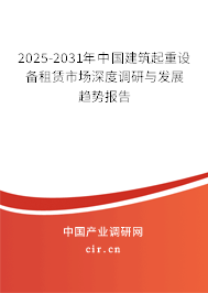 2025-2031年中國建筑起重設(shè)備租賃市場深度調(diào)研與發(fā)展趨勢報告
