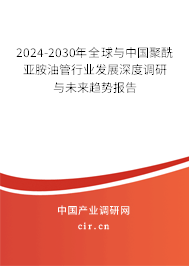 2024-2030年全球與中國聚酰亞胺油管行業(yè)發(fā)展深度調(diào)研與未來趨勢報告