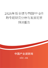 2026年版全球與中國PP-B市場專題研究分析與發(fā)展前景預(yù)測報告 2026年版全球與中國PP-B市場專題研究分析與發(fā)展前景預(yù)測報告