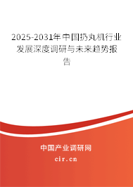 2025-2031年中國(guó)扔丸機(jī)行業(yè)發(fā)展深度調(diào)研與未來(lái)趨勢(shì)報(bào)告