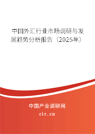 中國外匯行業(yè)市場(chǎng)調(diào)研與發(fā)展趨勢(shì)分析報(bào)告（2025年）