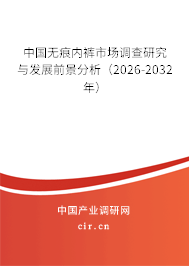 中國無痕內褲市場調查研究與發(fā)展前景分析(2025-2031年) 中國無痕內褲市場調查研究與發(fā)展前景分析(2025-2031年)