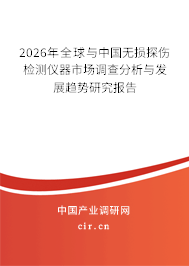 2026年全球與中國(guó)無(wú)損探傷檢測(cè)儀器市場(chǎng)調(diào)查分析與發(fā)展趨勢(shì)研究報(bào)告 2026年全球與中國(guó)無(wú)損探傷檢測(cè)儀器市場(chǎng)調(diào)查分析與發(fā)展趨勢(shì)研究報(bào)告