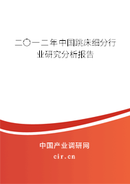 二〇一二年中國跳床細(xì)分行業(yè)研究分析報告 二〇一二年中國跳床細(xì)分行業(yè)研究分析報告