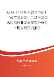 2022-2028年全球與中國(guó)2-（叔丁基氨基）乙基甲基丙烯酸酯行業(yè)發(fā)展研究分析與市場(chǎng)前景預(yù)測(cè)報(bào)告