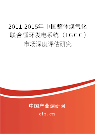 2011-2015年中國整體煤氣化聯(lián)合循環(huán)發(fā)電系統(tǒng)（IGCC）市場深度評估研究