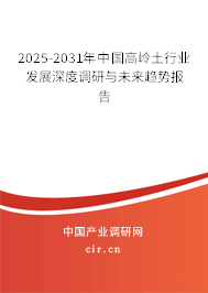2025-2031年中國高嶺土行業(yè)發(fā)展深度調研與未來趨勢報告