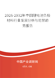 2026-2032年中國鋰電池負(fù)極材料行業(yè)發(fā)展分析與前景趨勢報告