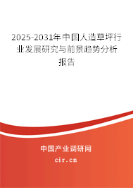 2025-2031年中國人造草坪行業(yè)發(fā)展研究與前景趨勢分析報告