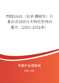 中國SAAS（軟件即服務(wù)）行業(yè)現(xiàn)狀調(diào)研與市場前景預(yù)測報告（2025-2031年）