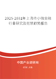2025-2031年上海市小微金融行業(yè)研究及前景趨勢(shì)報(bào)告 2025-2031年上海市小微金融行業(yè)研究及前景趨勢(shì)報(bào)告