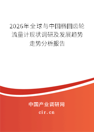 2026年全球與中國橢圓齒輪流量計(jì)現(xiàn)狀調(diào)研及發(fā)展趨勢走勢分析報(bào)告