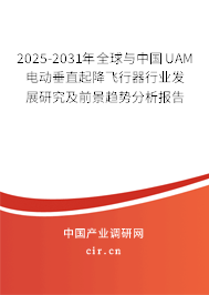 2025-2031年全球與中國UAM電動垂直起降飛行器行業(yè)發(fā)展研究及前景趨勢分析報告 2025-2031年全球與中國UAM電動垂直起降飛行器行業(yè)發(fā)展研究及前景趨勢分析報告