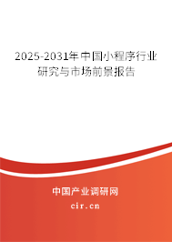 2025-2031年中國小程序行業(yè)研究與市場前景報告