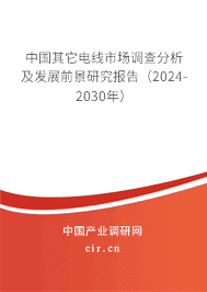 中國其它電線市場調(diào)查分析及發(fā)展前景研究報(bào)告（2023-2029年）