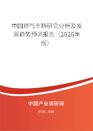 中國燃氣市場研究分析及發(fā)展趨勢預(yù)測報告（2026年版）