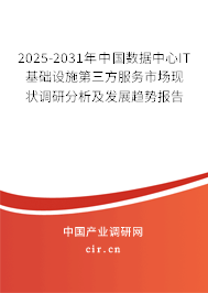 2025-2031年中國(guó)數(shù)據(jù)中心IT基礎(chǔ)設(shè)施第三方服務(wù)市場(chǎng)現(xiàn)狀調(diào)研分析及發(fā)展趨勢(shì)報(bào)告