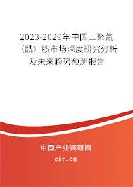 2023-2029年中國三聚氰（酰）胺市場深度研究分析及未來趨勢預(yù)測報告
