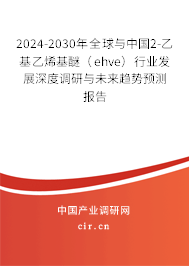 2024-2030年全球與中國2-乙基乙烯基醚(ehve)行業(yè)發(fā)展深度調(diào)研與未來趨勢(shì)預(yù)測(cè)報(bào)告 2024-2030年全球與中國2-乙基乙烯基醚(ehve)行業(yè)發(fā)展深度調(diào)研與未來趨勢(shì)預(yù)測(cè)報(bào)告