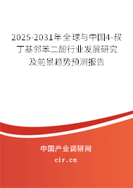 2025-2031年全球與中國(guó)4-叔丁基鄰苯二酚行業(yè)發(fā)展研究及前景趨勢(shì)預(yù)測(cè)報(bào)告