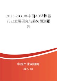 2025-2031年中國AD轉(zhuǎn)換器行業(yè)發(fā)展研究與趨勢預(yù)測報告