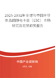 2025-2031年全球與中國半導體晶圓靜電卡盤(ESC)市場研究及前景趨勢報告 2025-2031年全球與中國半導體晶圓靜電卡盤(ESC)市場研究及前景趨勢報告