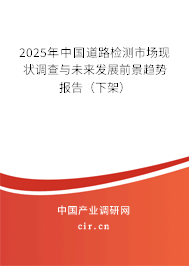 2025年中國(guó)道路檢測(cè)市場(chǎng)現(xiàn)狀調(diào)查與未來(lái)發(fā)展前景趨勢(shì)報(bào)告（下架）