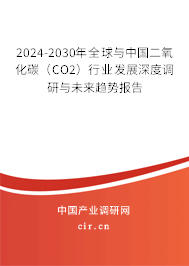 2024-2030年全球與中國二氧化碳(CO2)行業(yè)發(fā)展深度調(diào)研與未來趨勢報告 2024-2030年全球與中國二氧化碳(CO2)行業(yè)發(fā)展深度調(diào)研與未來趨勢報告