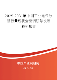 2025-2031年中國工業(yè)電氣分銷行業(yè)現(xiàn)狀全面調(diào)研與發(fā)展趨勢報告 2025-2031年中國工業(yè)電氣分銷行業(yè)現(xiàn)狀全面調(diào)研與發(fā)展趨勢報告