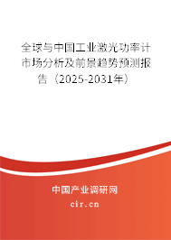 全球與中國工業(yè)激光功率計市場分析及前景趨勢預測報告（2025-2031年）