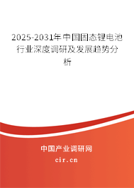 2025-2031年中國固態(tài)鋰電池行業(yè)深度調(diào)研及發(fā)展趨勢分析