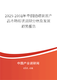 2025-2031年中國勵磁裝置產(chǎn)品市場現(xiàn)狀調(diào)研分析及發(fā)展趨勢報告