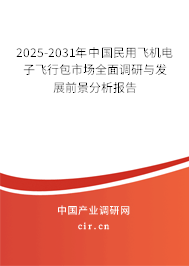 2025-2031年中國(guó)民用飛機(jī)電子飛行包市場(chǎng)全面調(diào)研與發(fā)展前景分析報(bào)告