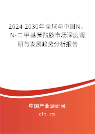 2024-2030年全球與中國N，N-二甲基癸酰胺市場深度調(diào)研與發(fā)展趨勢分析報告
