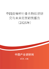 中國皮帶秤行業(yè)市場現(xiàn)狀研究與未來前景趨勢報告(2025年) 中國皮帶秤行業(yè)市場現(xiàn)狀研究與未來前景趨勢報告(2025年)