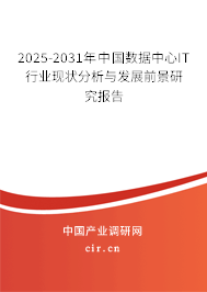 2025-2031年中國數(shù)據(jù)中心IT行業(yè)現(xiàn)狀分析與發(fā)展前景研究報告