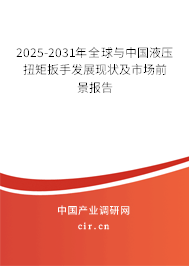 2025-2031年全球與中國液壓扭矩扳手發(fā)展現(xiàn)狀及市場前景報告