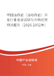 中國油頁巖（油母頁巖）開發(fā)行業(yè)發(fā)展調(diào)研與市場(chǎng)前景預(yù)測(cè)報(bào)告（2026-2032年）