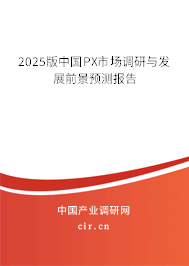 2025版中國PX市場調(diào)研與發(fā)展前景預(yù)測報告